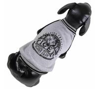 Sudadera gris de algodón para perros "Amazing Creation Tiger"