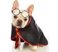 Sudadera Impoosy Pet para Halloween con capucha para perro, disfraz divertido de mago y gato, ropa bonita, camisetas suaves, ropa con gafas (extr