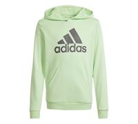 Sudadera infantil adidas Big Logo Essentials 13/14