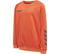 Sudadera infantil de poliéster Hummel Promo 14 años