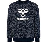 Sudadera infantil Hummel Carson 4 ans