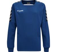 Sudadera infantil Hummel hmlAUTHENTIC Training 12 años