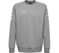 Sudadera infantil Hummel hmlGO 6 años