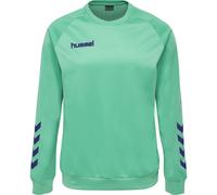Sudadera infantil Hummel hmlPROMO Poly 14 ans