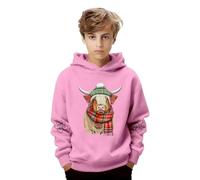 Sudadera Informal de Manga Larga con Capucha y Estampado para niños de 2 a 14 años, diseño de Dinosaurio Colorido, cálida y cómoda para Diario y Colegio.