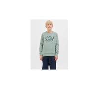 Sudadera jack and jones jjgeplas crew neck niño iceberg verde 14 AÑOS