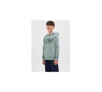 Sudadera jack and jones jjgeplas niño iceberg verde 10 AÑOS
