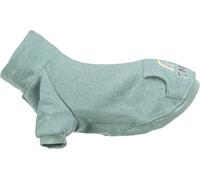 Sudadera Littleton mint