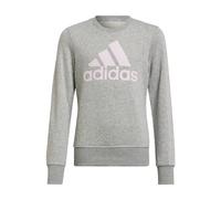 Sudadera Marca Adidas Modelo G BL SWT