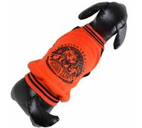 Sudadera naranja de algodón para perros "Amazing Creation Tiger"