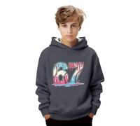 Sudadera Niña 10 Años - con Capucha Y Estampado Gráfico para Jersey De Manga Larga Ropa Informal Suave con Bolsillo Frontal para Y Jóvenes (Grey 1-2 Years)