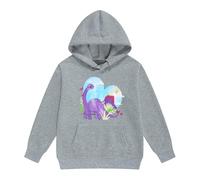 Sudadera Niña 10 Años - Sweats À Capuche Et Sweats Pour Filles Imprimé Dinosaure Pulls Pour Enfants Vêtements Sweat-Shirt À Capuche En Polaire Chaud D'Hiver (Grey 2-3 Years)
