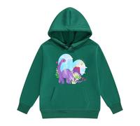 Sudadera Niño con Capucha 110 Años - Sweats À Capuche Et Sweats Pour Filles Imprimé Dinosaure Pulls Pour Enfants Vêtements Sweat-Shirt À Capuche En Polaire Chaud (Dark Green 2-3 Years)
