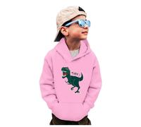 Sudadera Niño con Capucha Informal, Sudaderas Niño Estampado, Sudaderas Sweat Hoodie Sweatshirt Niños con Cuello Redondo Camisa CamióN Dinosaurio Manga Larga Camisetas Streetwear Pullover