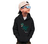 Sudadera Niño con Capucha Informal, Sudaderas Niño Estampado, Sudaderas Sweat Hoodie Sweatshirt Niños con Cuello Redondo Camisa CamióN Dinosaurio Manga Larga Camisetas Streetwear Pullover