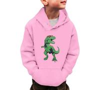 Sudadera Niño con Capucha Manga Larga, Sudaderas Niño Hip Hop, Sudaderas Sweatshirt Sweat Hoodie Manga Larga Niños Y Niñas con Diseño Dinosaurios Invierno CáLida 3 A 14 Años Pullover Streetwear