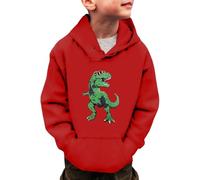Sudadera Niño con Capucha Manga Larga, Sudaderas Niño Hip Hop, Sudaderas Sweatshirt Sweat Hoodie Manga Larga Niños Y Niñas con Diseño Dinosaurios Invierno CáLida 3 A 14 Años Pullover Streetwear