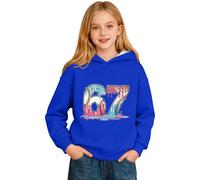 Sudadera Niños 2974 Años - con Capucha Y Estampado Gráfico para Jersey De Manga Larga Ropa Informal Suave con Bolsillo Frontal para Y Jóvenes (Blue 15-16 Years)