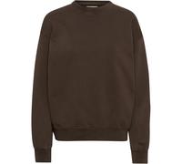 Sudadera oversize cuello redondo Colorful Standard organic 2XL