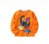 Sudadera para Niños con Cremallera y Bolsillo Clásica Lisa Sólido Clásico Sudadera Chaqueta de Chándal en Algodón Sudaderas Adolescentes Camiseta de Manga Larga Jersey para Infantil 2-7 Años