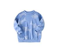 Sudadera para Niños Sudadera para Bebe Niño Camiseta Deporte Jersey Algodón Deporte Clásica Lisa Camiseta de Manga Larga Ropa de Abrigo Tops Cálidos Clásica Lisa Niños y Niñas Sudaderas Regalo