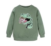 Sudadera para niños y niñas, unisex, dibujos animados, animales, dinosaurios, sudadera con capucha para niñas y niños, disfraz de Halloween para niñas, verde, 6-7 años