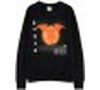 Sudadera Pokemon Charizard M DIFUZED
