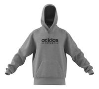 Sudadera polar con capucha adidas All Szn Graphic L Male