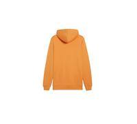 Sudadera puma essentials+ 2 col big hombre gris 2XL