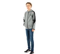 Sudadera puma jr evs CR fz HD b 03 Medium Grey Heather, gris, 16 años