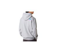 Sudadera the north face drew peak regular tnf light gris hombre S