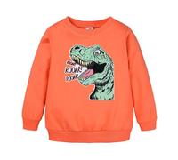 Sudadera Unisex con Capucha Estampado Dinosaurios Animales Animados para Ni?os Ni?as