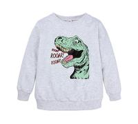 Sudadera Unisex con Capucha Estampado Dinosaurios Animales Animados para Ni?os Ni?as