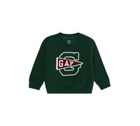 Sudadera 'VARSITY' Infantil GAP 68-80 chamois / pino / rojo cereza / blanco
