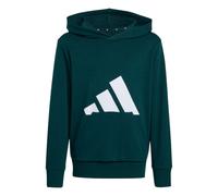 Sudadera verde Adidas JR JW3461
