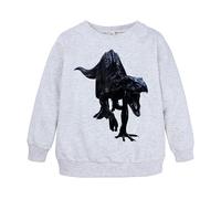 Sudaderas Mejores Amigas Baratas Sudadera Unisex con Capucha y Estampado de Dinosaurios y Animales de Dibujos Animados para niños y niñas Sudadera Luminiscente (Grey, 2-3 Years)