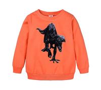 Sudaderas Mejores Amigas Baratas Sudadera Unisex con Capucha y Estampado de Dinosaurios y Animales de Dibujos Animados para niños y niñas Sudadera Luminiscente (Orange, 6-7 Years)