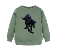 Sudaderas Mejores Amigas Baratas Sudadera Unisex con Capucha y Estampado de Dinosaurios y Animales de Dibujos Animados para niños y niñas Sudadera Luminiscente (Green, 7-8 Years)