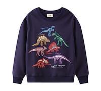 Sudaderas Niño con Capucha Sudadera Niños Sólido Sudadera Chaqueta de Chándal en Algodón Ropa de Abrigo Sudaderas Adolescentes Jersey Algodón Deporte Básico Cuello Redondo Suéter Ligera Suave