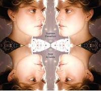 Sudden Elevation by Olof Arnalds (2013-05-04)