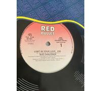 Sue Chaloner - Lost In Your Love