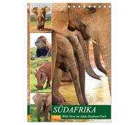 SÜDAFRIKA Wild-Tiere im Addo Elephant Park (Tischkalender 2026 DIN A5 hoch), CALVENDO Monatskalender: Der Addo Elephant National Park ist der 3. ... von Elefanten und anderen Wild-Tieren.