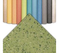 Suelo de PVC comercial Xtreme, suelo de vinilo acolchado, alta resistencia a la abrasión, impermeable y antideslizante, suelo resistente a los rayos UV (100 x 200 cm, Xtreme | Mira 550M)