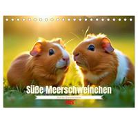 Süße Meerschweinchen (Tischkalender 2026 DIN A5 quer), CALVENDO Monatskalender: Sie piepsen nicht viel, aber sagen trotzdem, ich hab dich lieb.