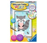 Süßer Waschbär