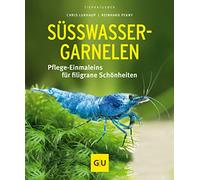 Süßwasser-Garnelen: Pflege-Einmaleins für filigrane Schönheiten