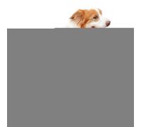 Suéteres para perros, suéteres para perros - Jersey de invierno para perros de peluche,Chaleco de invierno cálido para gatos y ropa para clima frío, ropa para mascotas para perros grandes, sabes