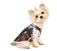 Suéteres personalizados para perros pequeños y medianos, diseños únicos, forro polar de poliéster suave, perfectos para recuperación de cirugías y uso diario, un barco pirata, talla S