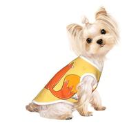 Suéteres personalizados para perros pequeños y medianos, diseños únicos, forro polar de poliéster suave, perfectos para recuperación de cirugías y uso diario, curioso zorro de lectura, talla S