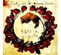 Suffering & the Hideous Thieve - Rats in Heaven